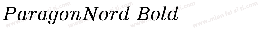 ParagonNord Bold字体转换